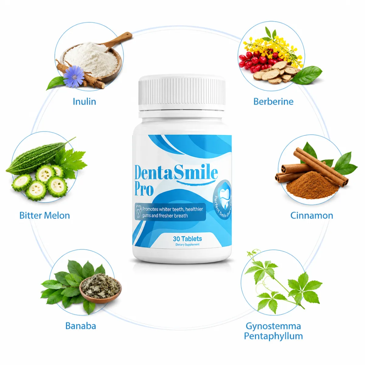 DentaSmile Pro Supplement Formula Banner